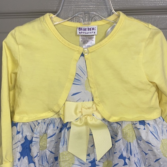 4T Blueberi Blvd daisy dress - Picture 3 of 11